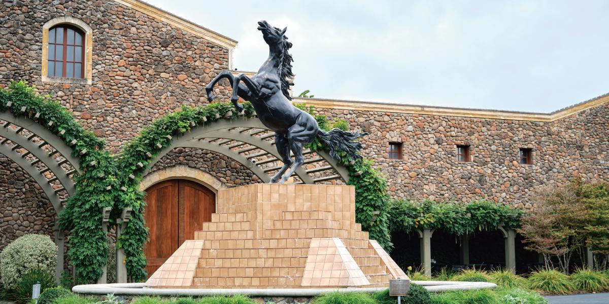 ブラック・スタリオン・エステート・ワイナリー BLACK STALLION ESTATE