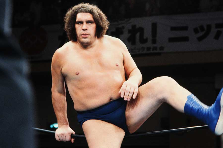 プロレスこの一年 ♯49】アンドレ、ブッチャー、テリー・・・大物外国