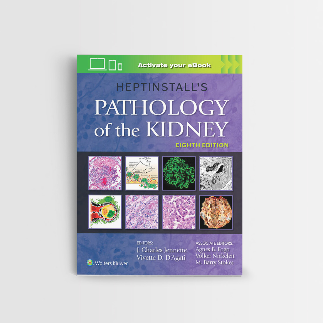HEPTINSTALL'S PATHOLOGY OF THE KIDNEY – Enea Brivio
