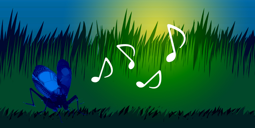 虫 - 効果音一覧｜無料効果音素材配信：エスフェクツ