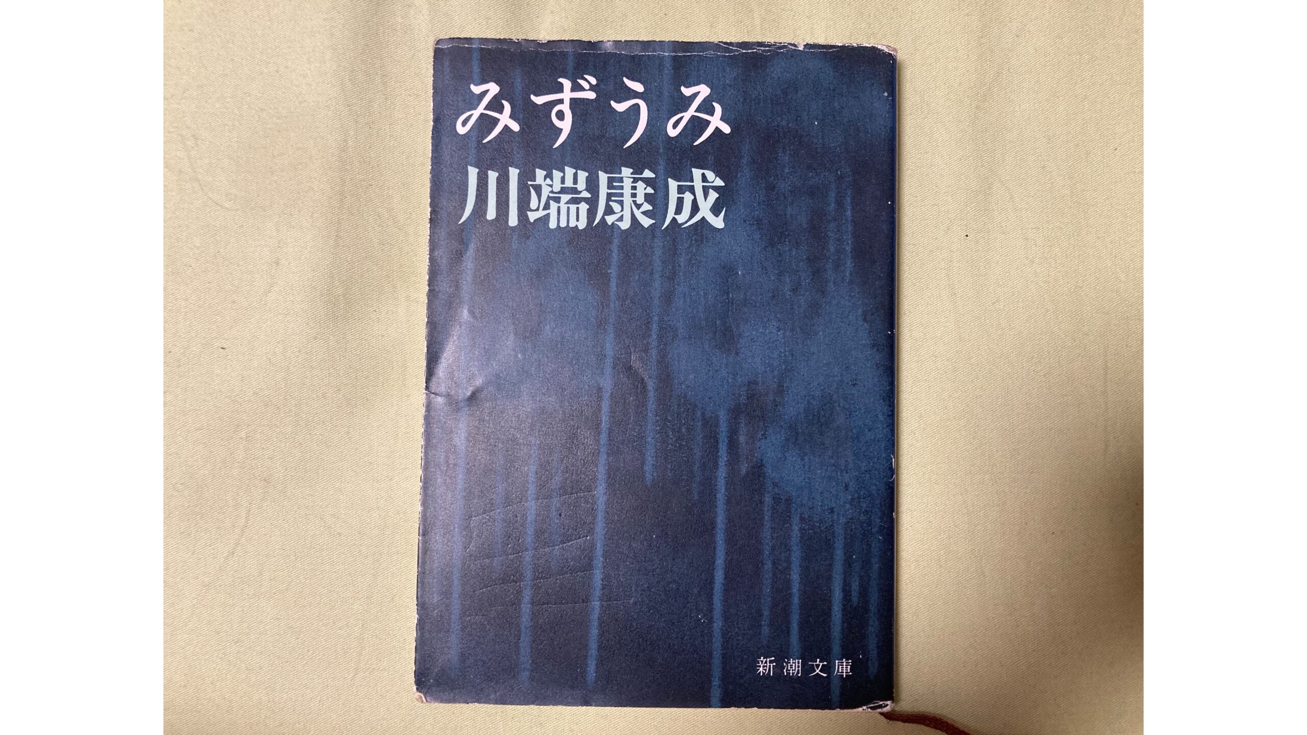 雨の読書3】みずうみ | Masa