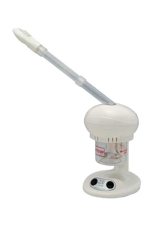 エステジャパンネット / F-100 卓上ミニスチーマー