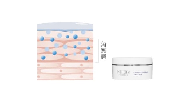 インダーム・エクソダームシリーズ｜株式会社 エステツイン