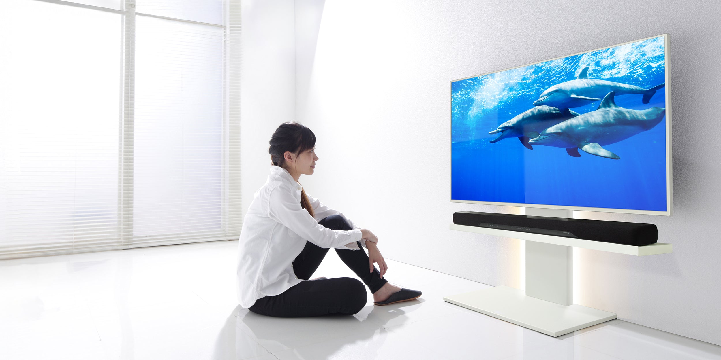 WALL INTERIOR TVSTAND V2