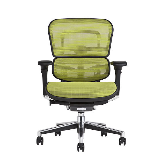 エルゴヒューマン ベーシック / ヘッドレスト無し【メーカー組み立て