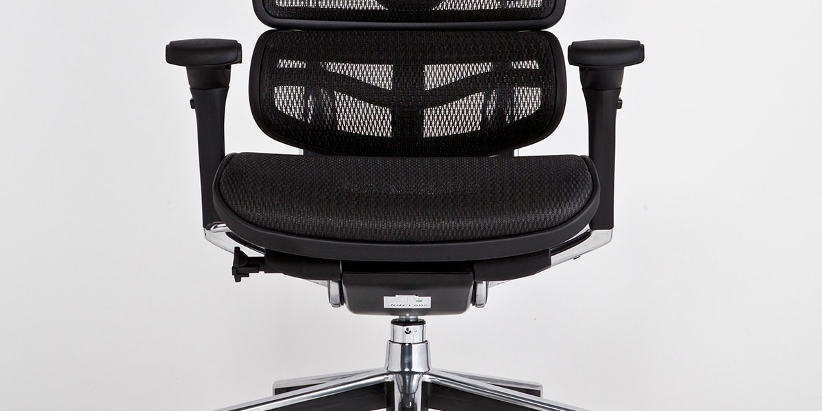 エルゴヒューマン ベーシック / ヘッドレスト有り【メーカー組み立て