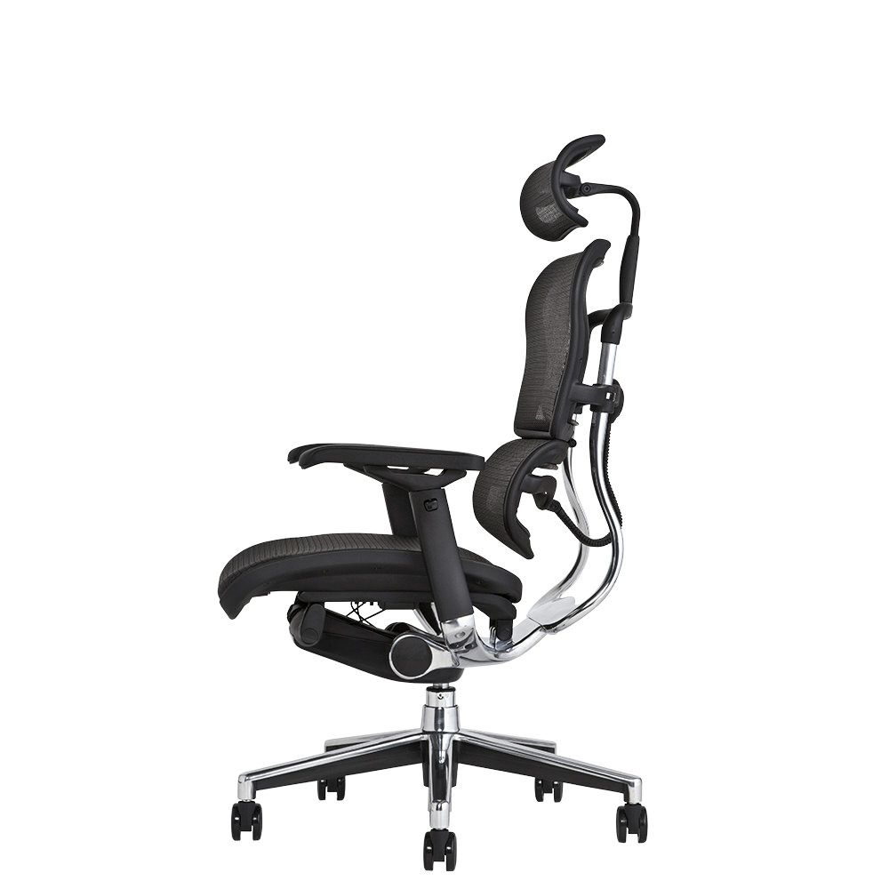 エルゴヒューマン ベーシック / ヘッドレスト有り【メーカー組み立て