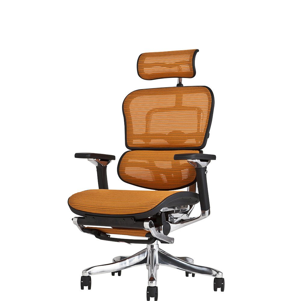 エルゴヒューマン プロ / オットマン内蔵型 / ヘッドレスト有り