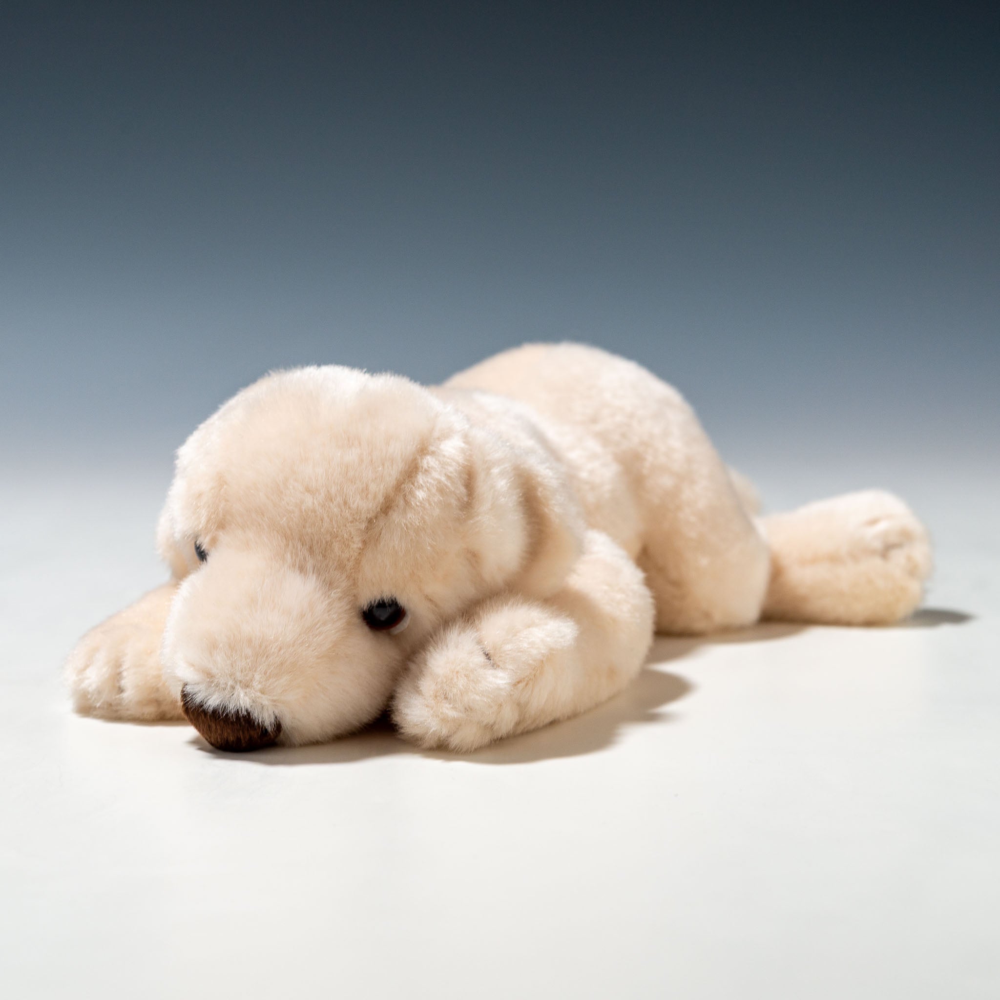 吉徳 ぬいぐるみ ラブラドールレトリバー ホワイト SS 180410