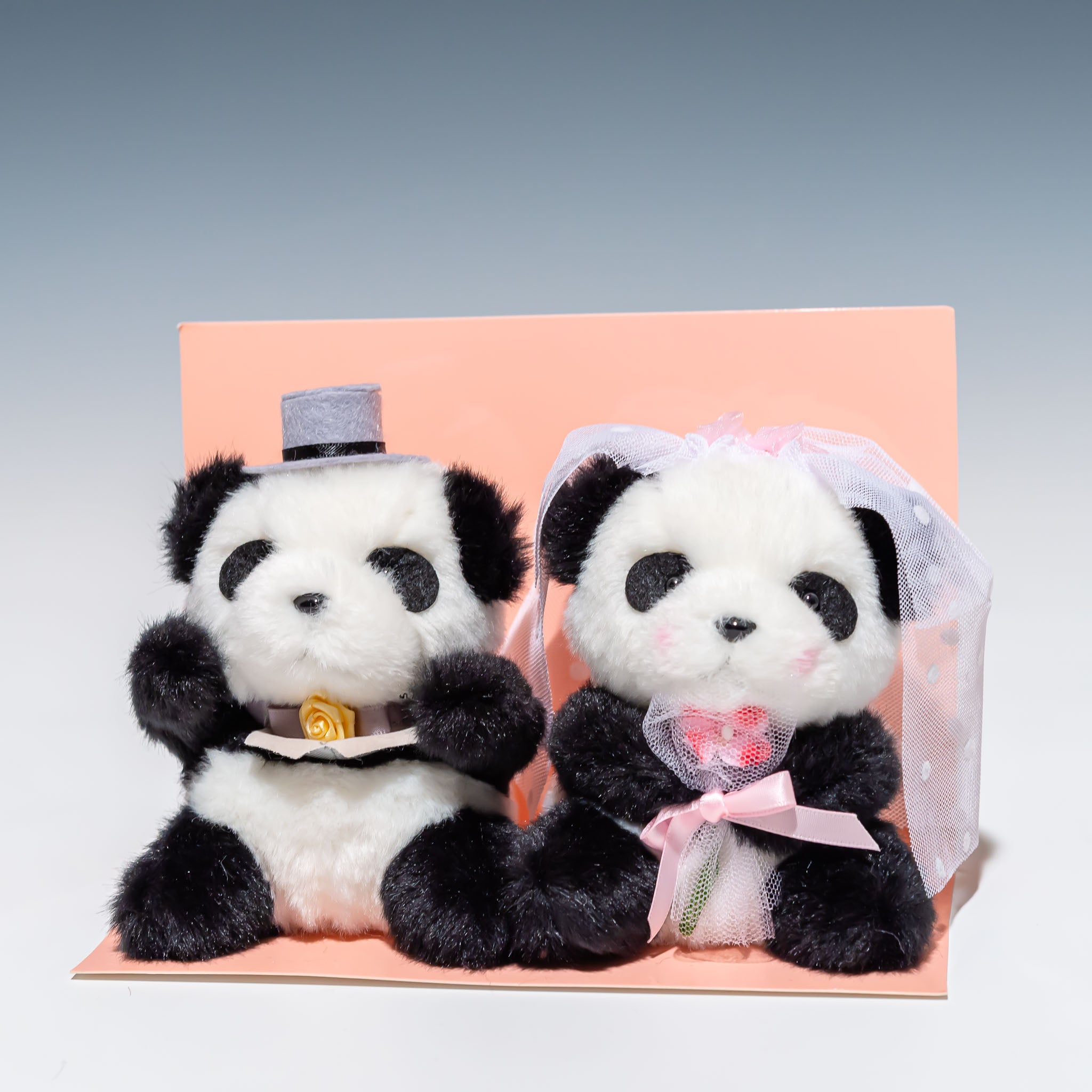 たけのこ TAKENOKO ぬいぐるみ ウェディングペアぬいぐるみの通販