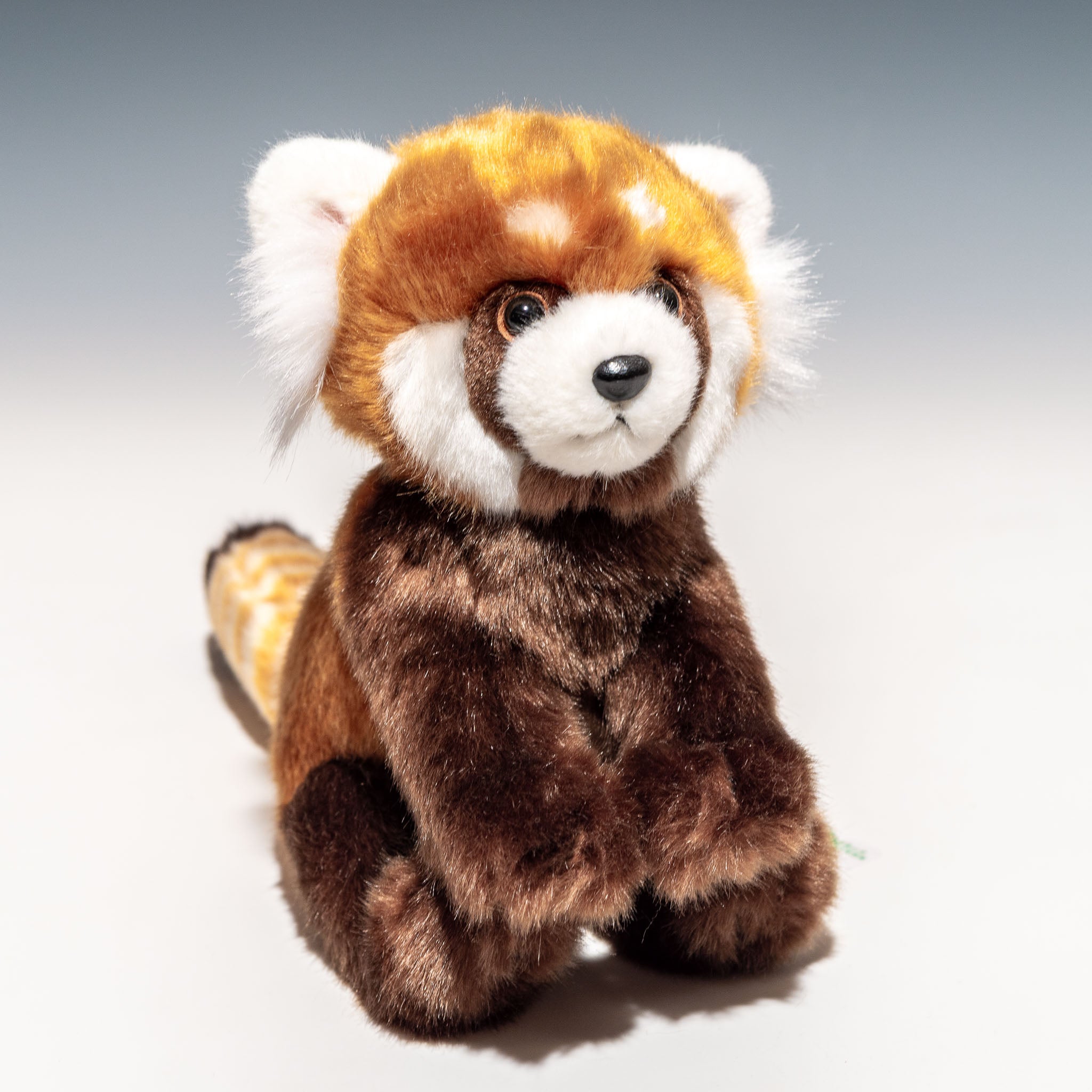 たけのこ TAKENOKO ぬいぐるみ リアルレッサーパンダ 20905