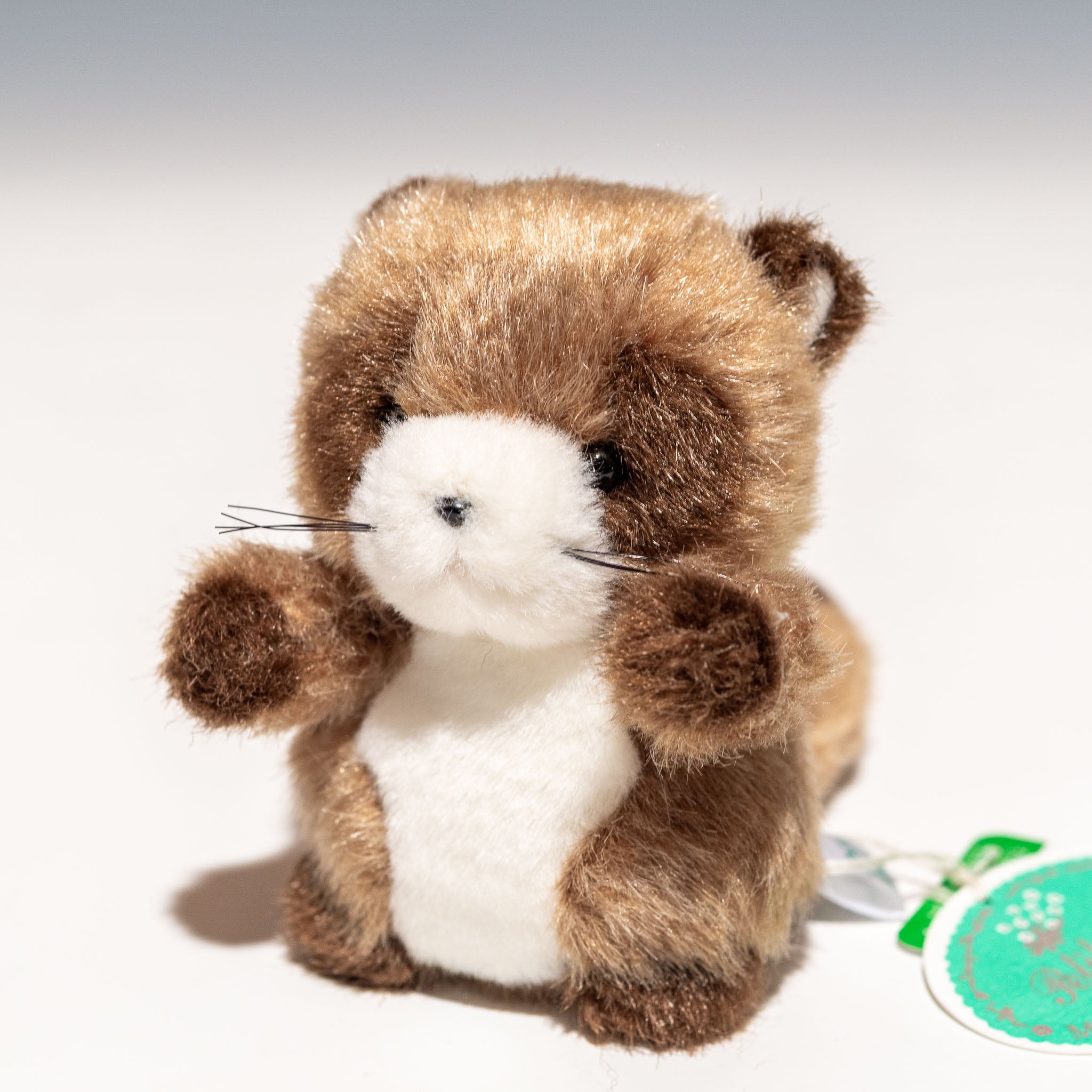 たけのこ TAKENOKO ぬいぐるみ プチプチらんど 森のなかま タヌキ