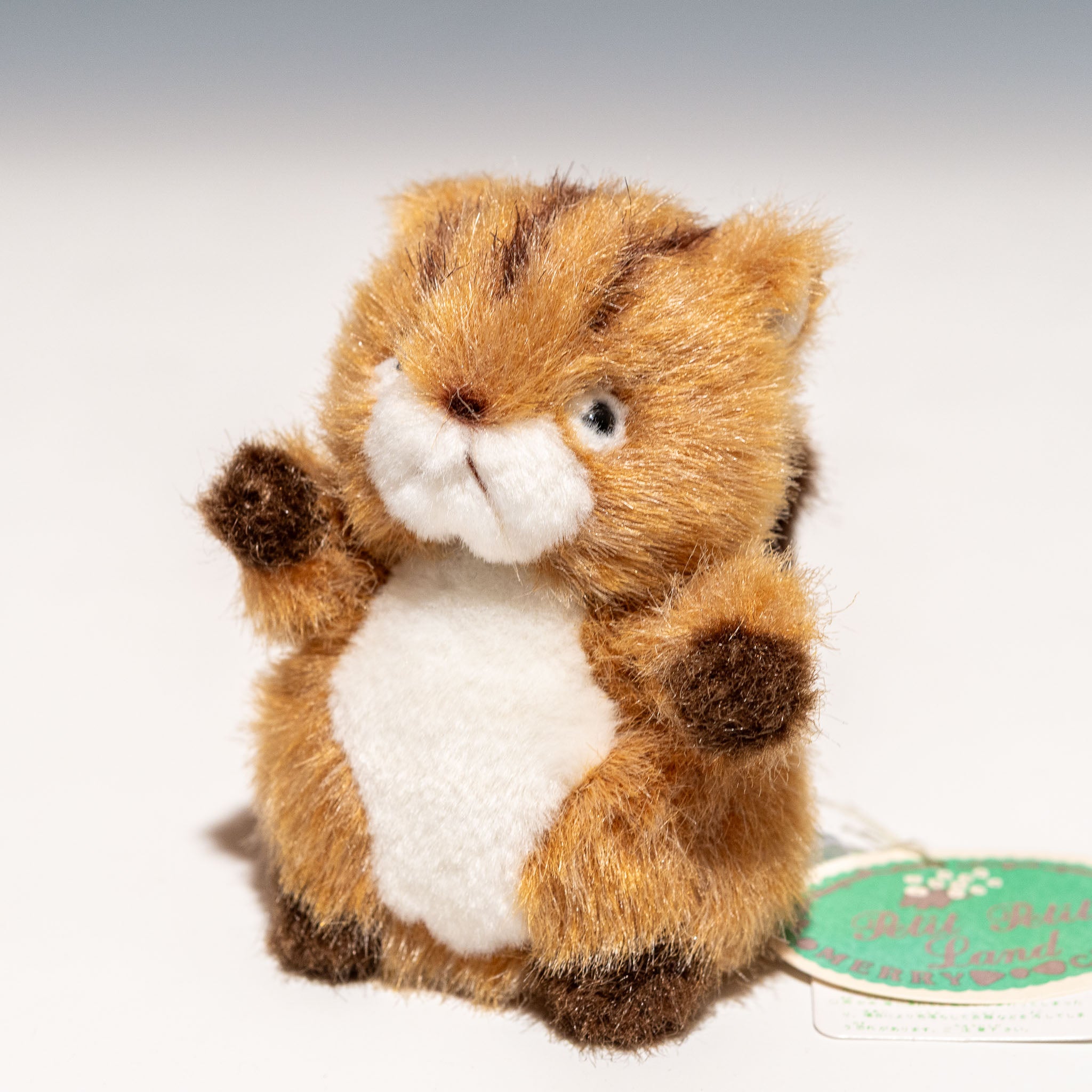 たけのこ TAKENOKO ぬいぐるみ プチプチらんど 森のなかま リス 58438