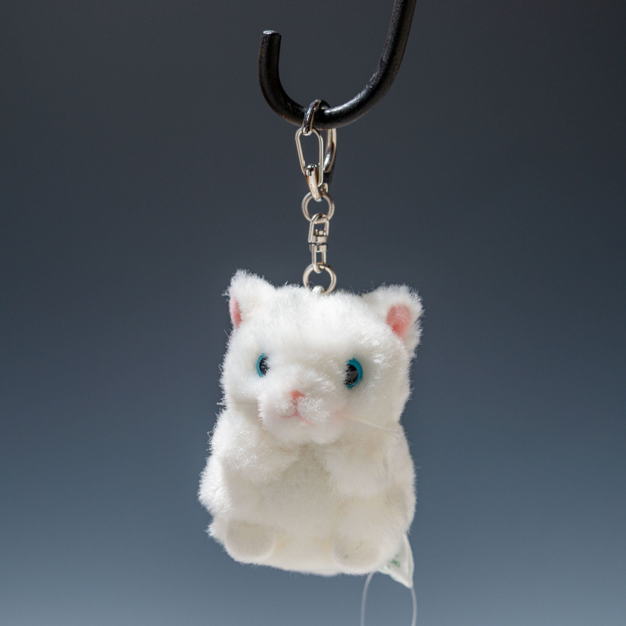 たけのこ TAKENOKO ぬいぐるみ ミニミニキッズ ペルシャネコ 48554