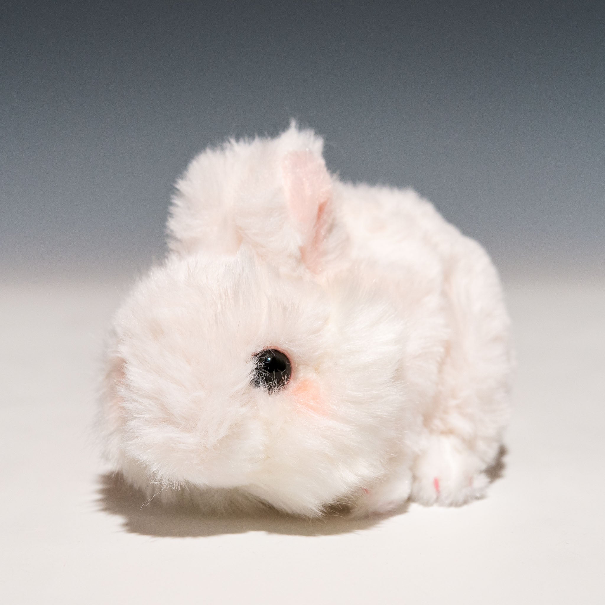 CUTE キュート販売 ぬいぐるみ ふわふわうさぎ S 這い ホワイト F0233