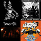 Singles and Rarities | THE VIRUS | PUNK CORE RECORDS