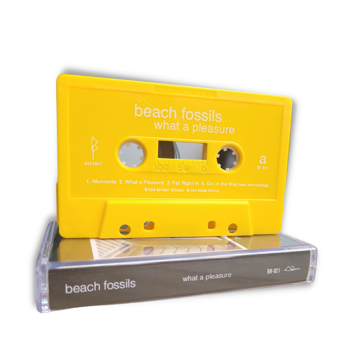 What A Pleasure | Beach Fossils