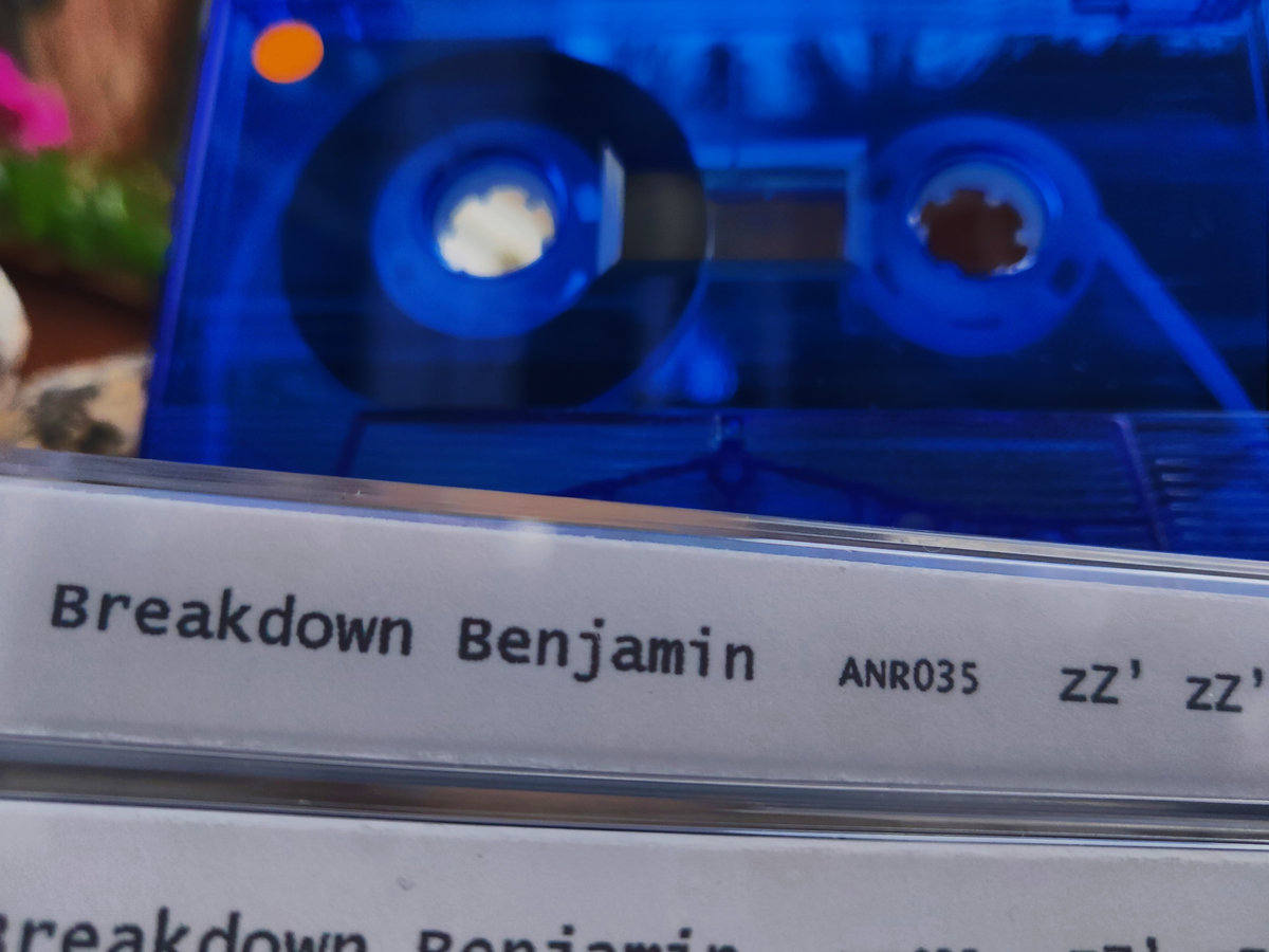 zZ' zZ' zZ' | Breakdown Benjamin | Anticipating Nowhere Records