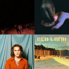 Setting the Woods on Fire | The Walkabouts