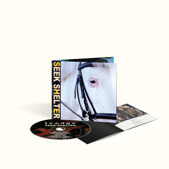 Seek Shelter | Iceage