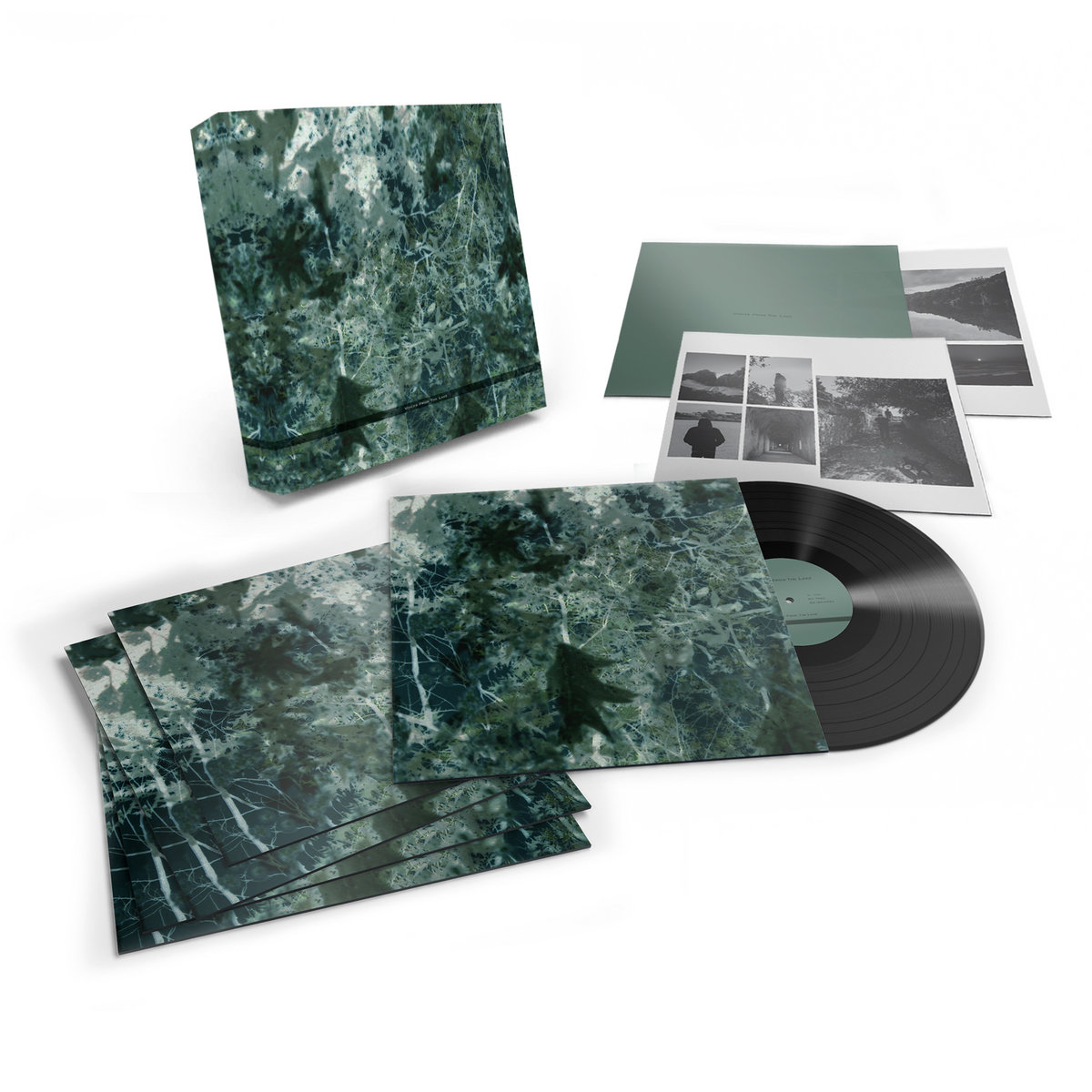 Voices From The Lake | Voices From The Lake