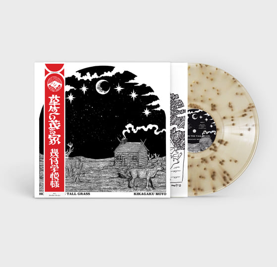 House in the Tall Grass | Kikagaku Moyo/幾何学模様