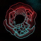 Scoprire le orme | Roberto Mazza | soave