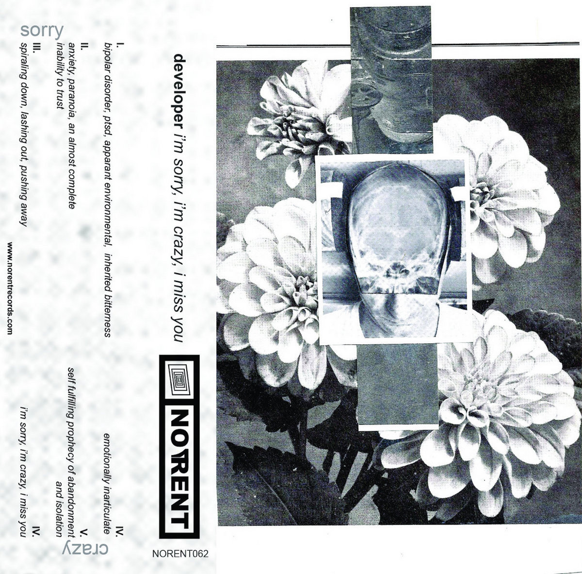 im sorry, im crazy, i miss you