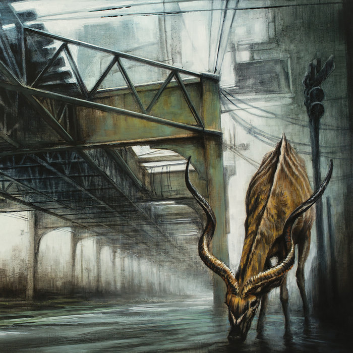 LIVE-CRUX Compilation vol.1 フジファブリック