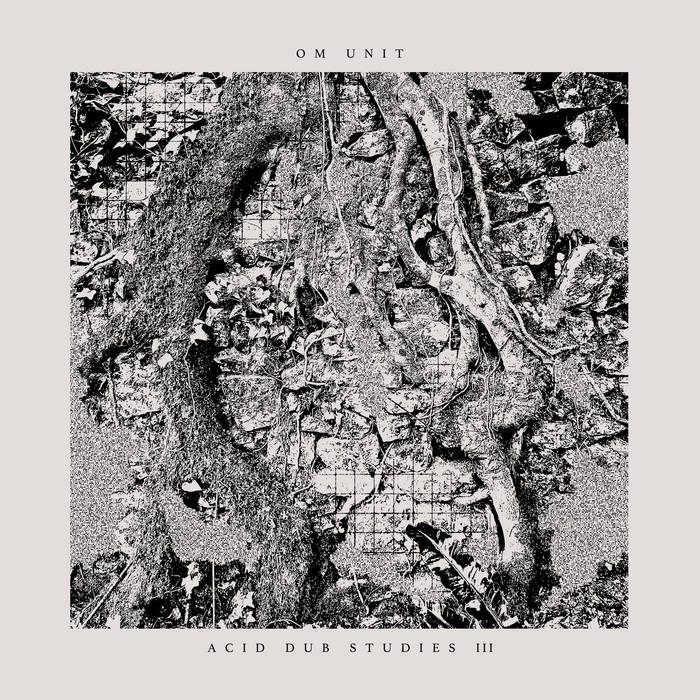 Acid Dub Studies III (LP) | Om Unit