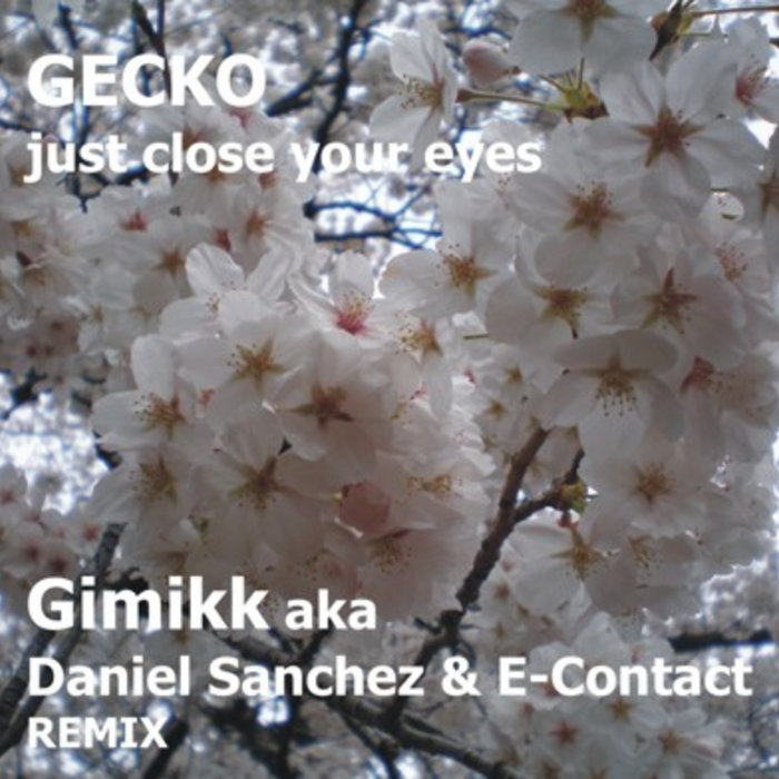 テクノ Gecko Just Close Your Eyes 2002 レコード Gecko – Just Close