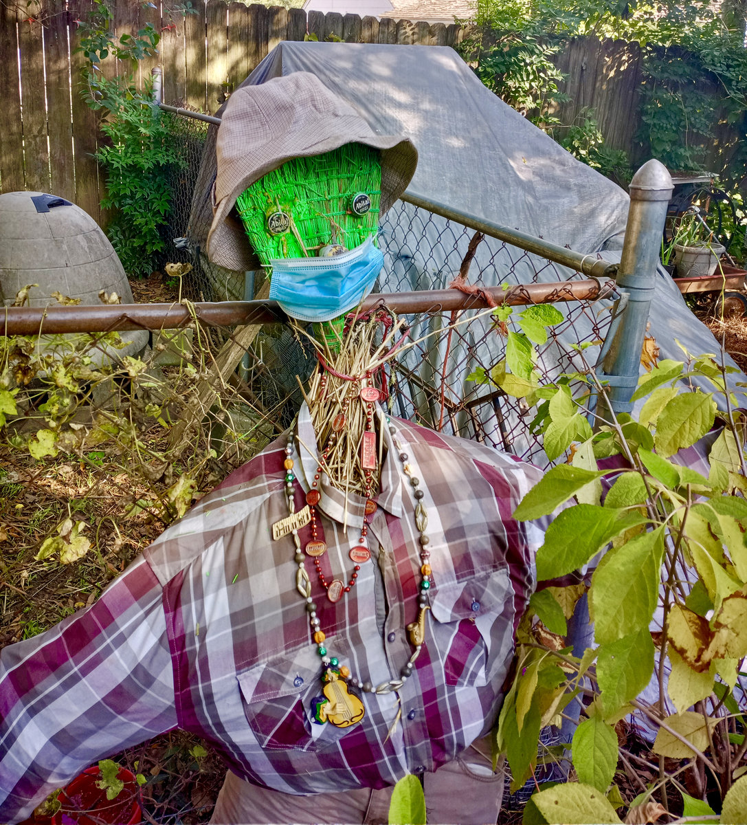 Old Scarecrow | Delta Joe Sanders