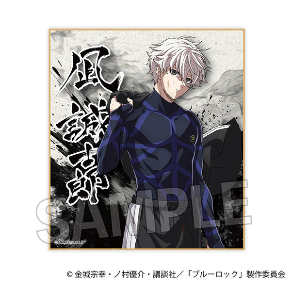 4582666848272_grande.jpg?v=