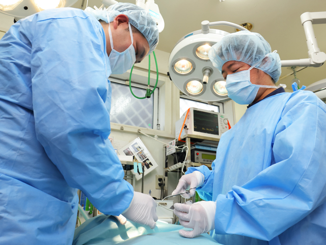 手術・外科システム紹介 | 大和市のCT完備の動物病院|湘北どうぶつ次