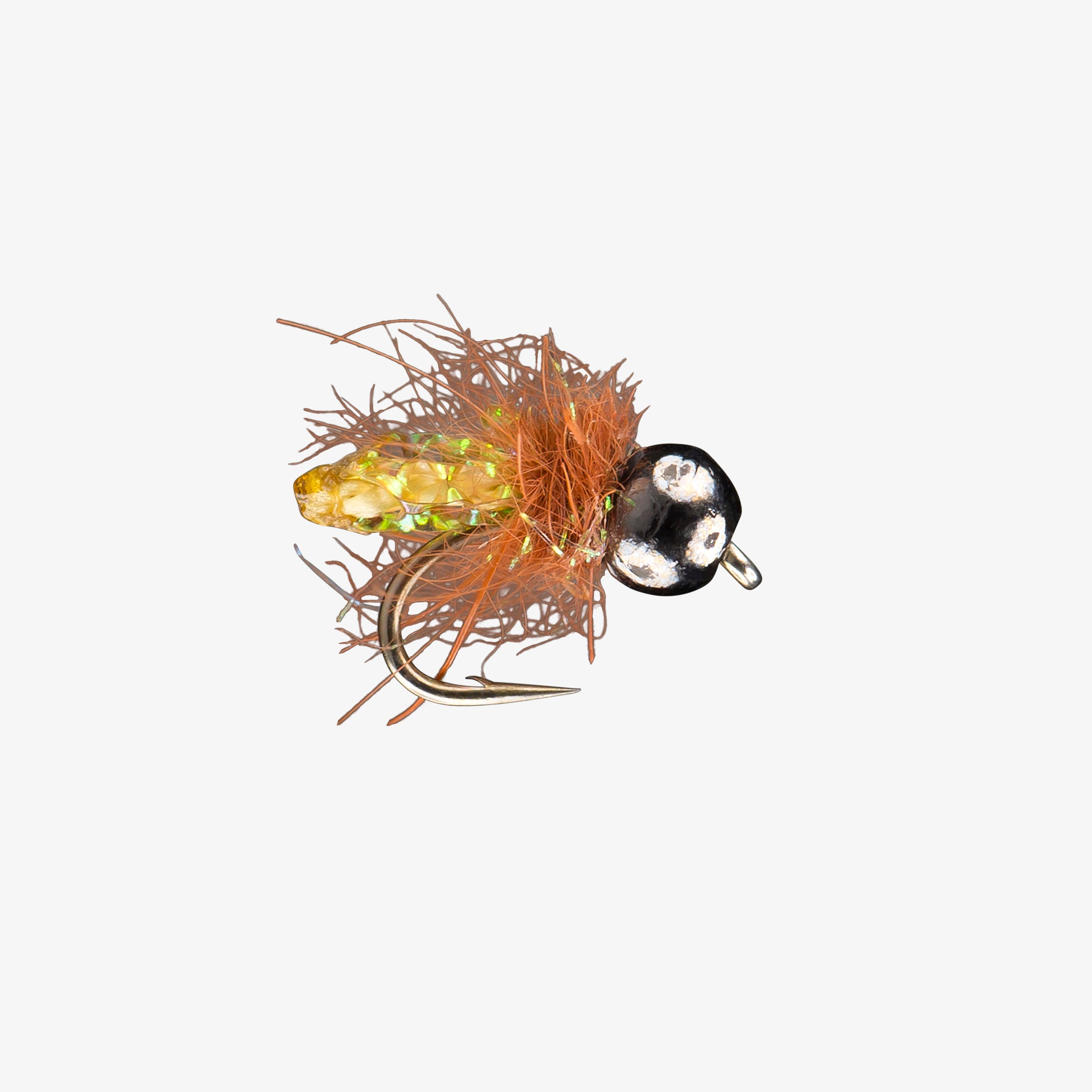 pupa/floating 6 pupas～Live in Tokyo2008 RIO's Pupa Scoopa TB