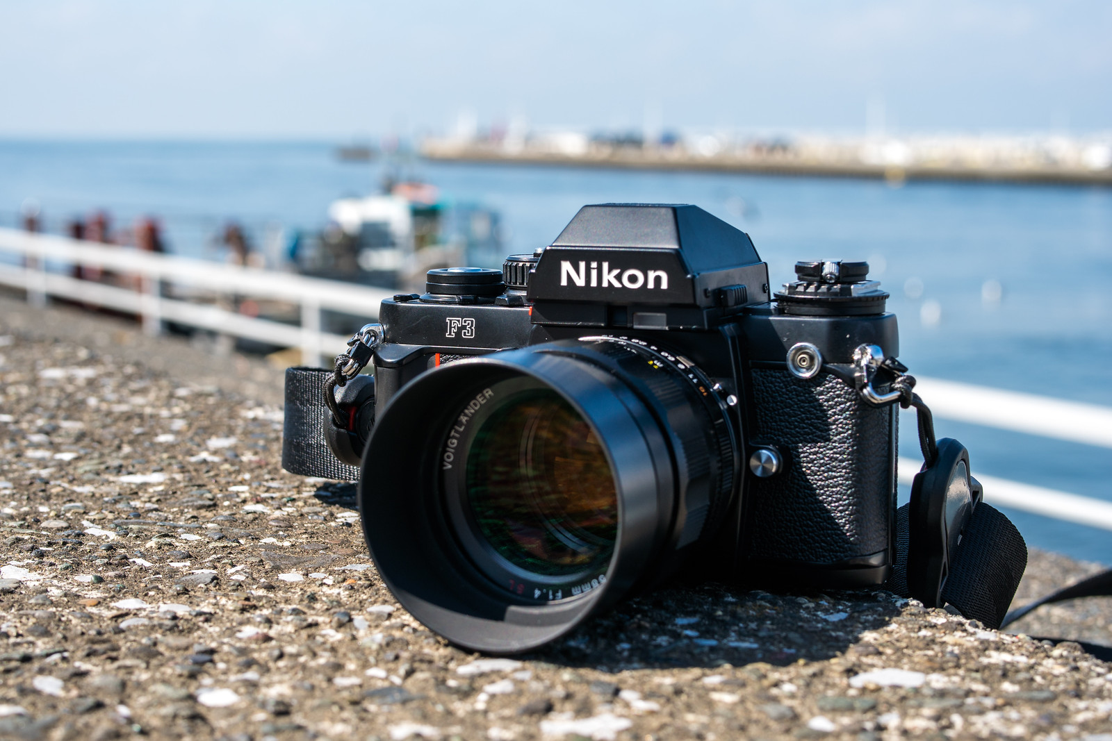 ニコンF3でフィルムカメラ（再）デビューした話 - An Ordinary Life