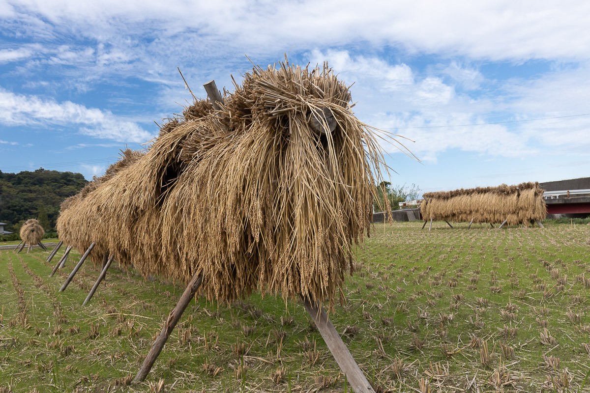 ハッピーヒル販売のお知らせ | 新着商品のご紹介 | 福岡正信自然農園