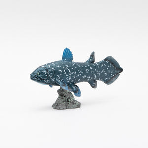 Coelacanth Soft Model – Favorite official website