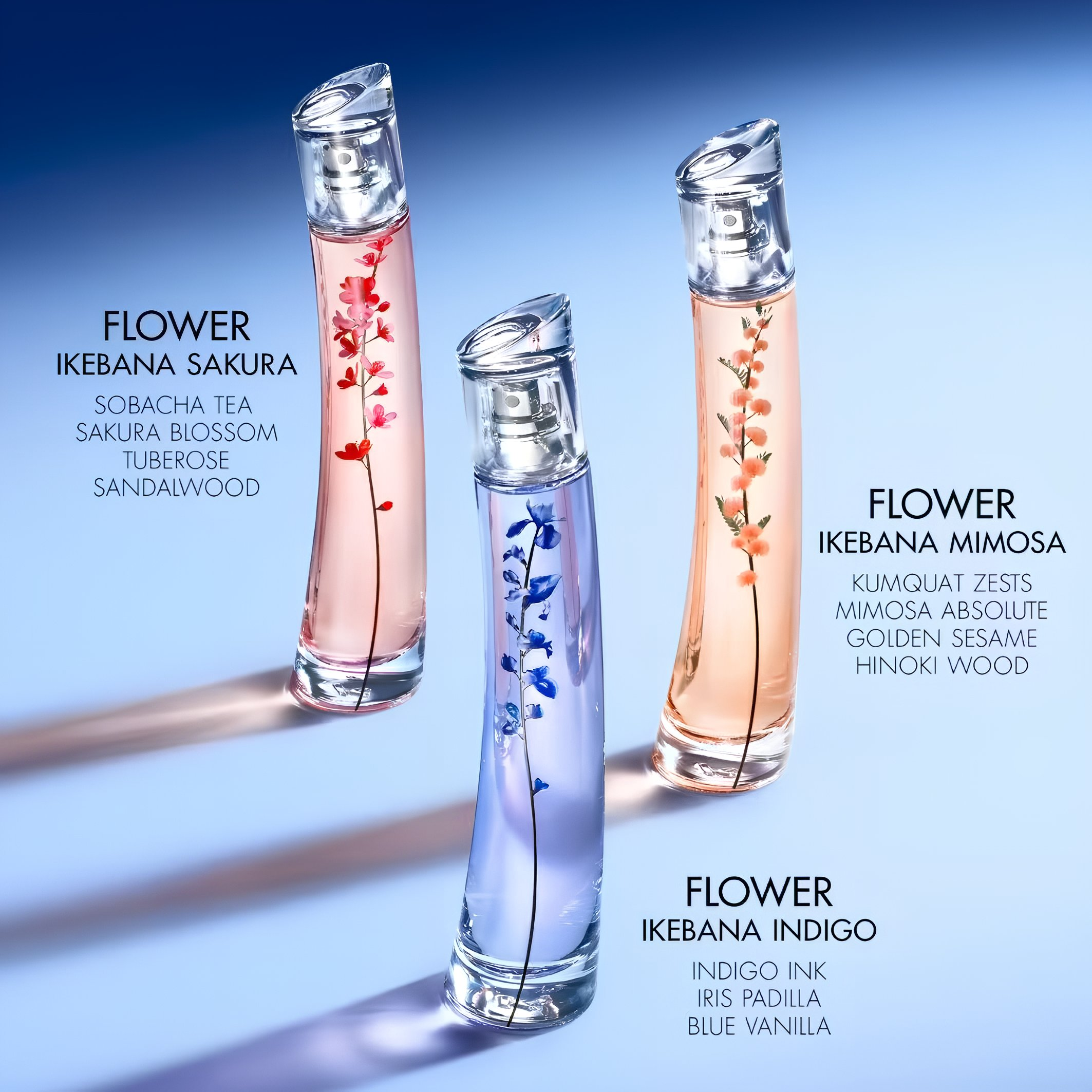 Flower by Kenzo Ikebana Indigo: Harmony in Indigo ~ New Fragrances
