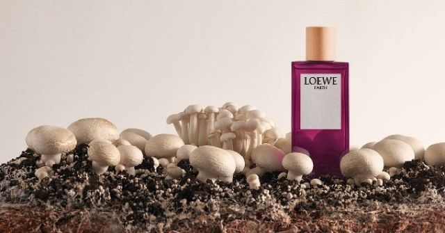 Earth Loewe 香水- 一款2022年中性香水