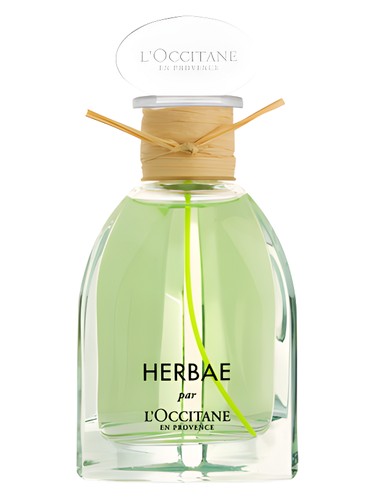 Herbae L'Occitane en Provence perfume - a fragrance for women and