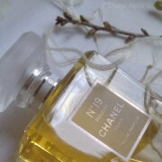 Chanel No 19 Poudre Chanel perfume - a fragrance for women 2011