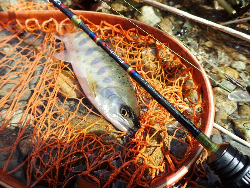 CANARIA C48UL(カナリア48・ベイト) - Fin‐ch