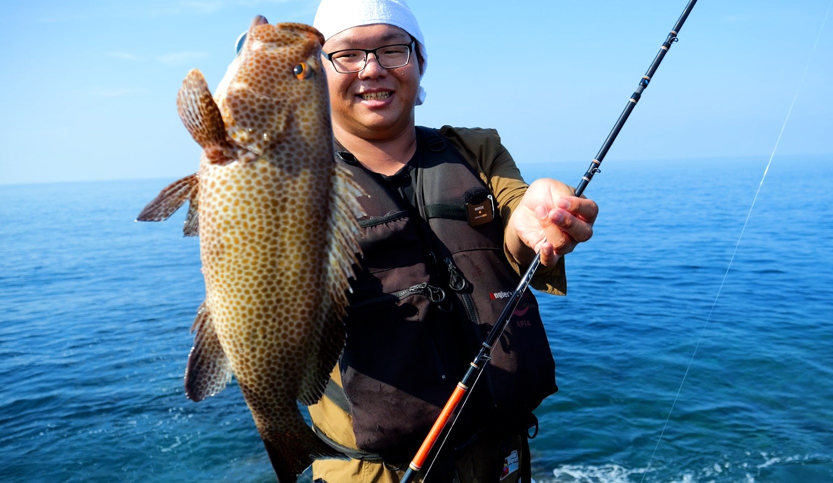 CANARIA COCO85(カナリア ココ85) - Fin‐ch