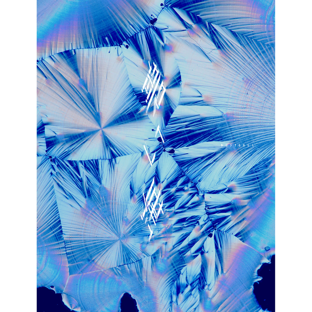 DUSTCELL】「碧い海」（初回盤）／4th Album「碧い海」 – FINDME STORE