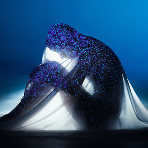 廻花】「うまれるまえからきみをしってる」通常盤／1st Album