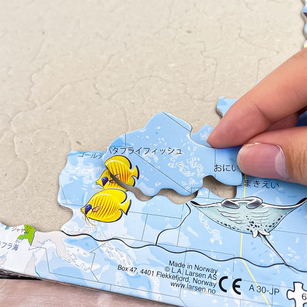 アジアマップ 日本語版 63PCS | 海外おもちゃブランドの仕入れ・卸売り