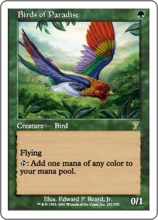 Foil】《極楽鳥/Birds of Paradise》[7ED] 緑R | 日本最大級 MTG通販