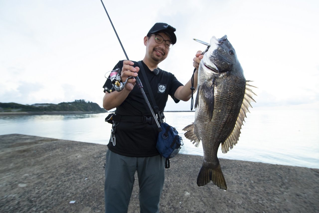 宵姫華弐 S54FL-solid 【公式通販】