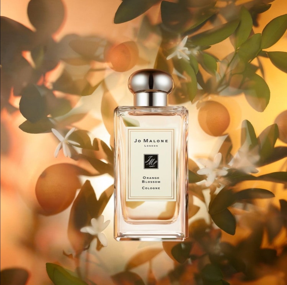 Jo Malone London(ジョー マローン ロンドン) / オレンジ ブロッサム